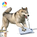 Portable Pet Dog Outdoor Water Feeder Drinking Fountain
Portable Pet Dog Outdoor Water Feeder Drinking Fountain